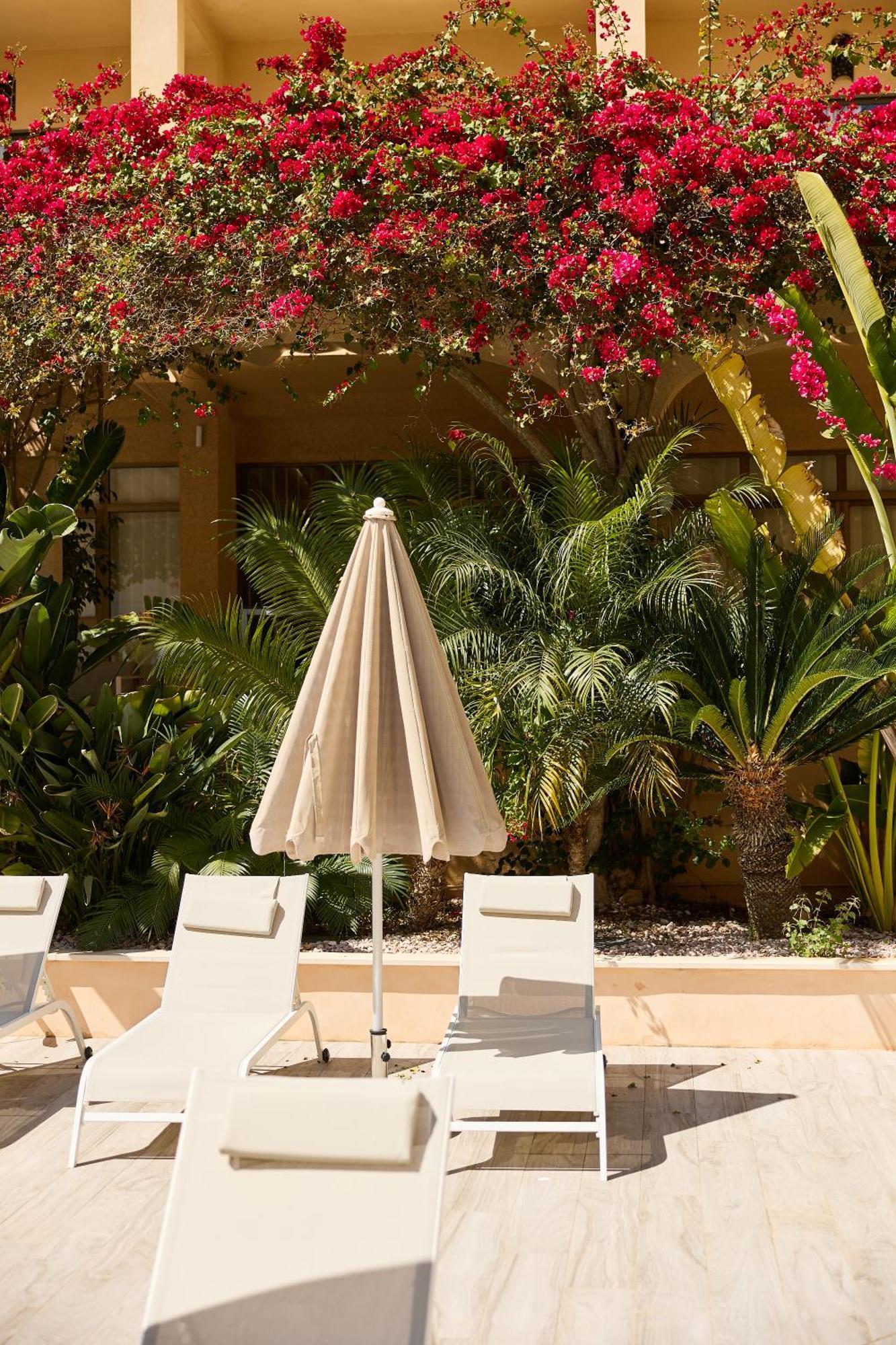 Apartamentos Isla Del Sol Can Pastilla  Luaran gambar